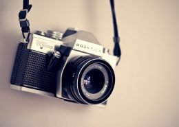 Orange coloured parrot for exchange