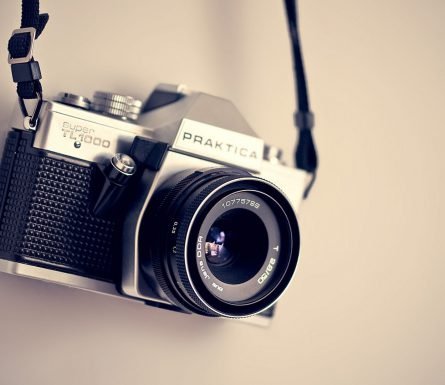 Orange coloured parrot for exchange