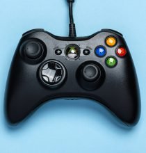 Blue eye cat for sale urgently