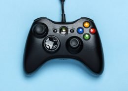 Blue eye cat for sale urgently